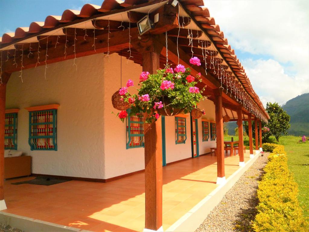 Patio Bonito photo 2