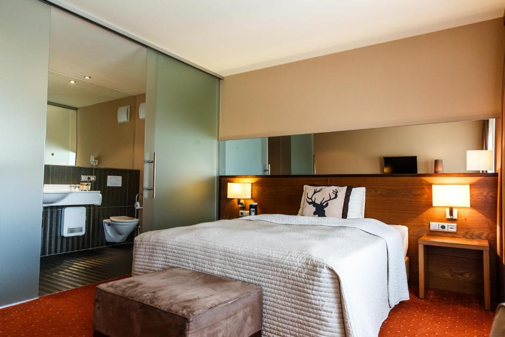 Одноместный (Одноместный номер бизнес-класса), Hotel Salzburg