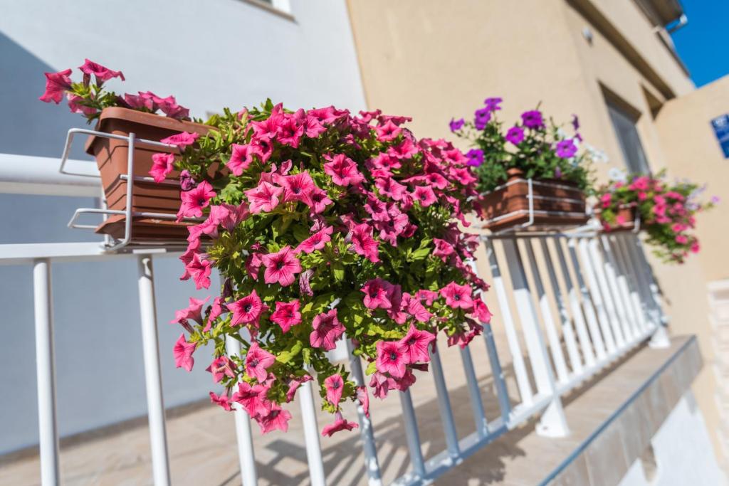 Apartments Galeb photo 2