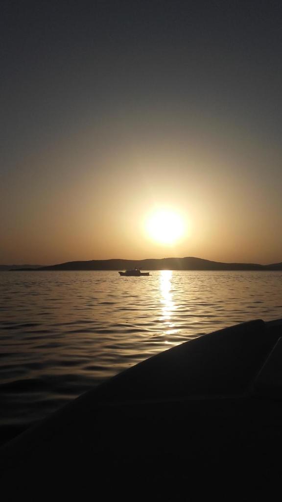 Lily Apartments Punta Skala photo 2