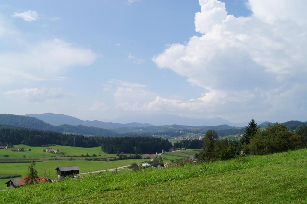 Glamping - Ekološka kmetija Kozman photo 4