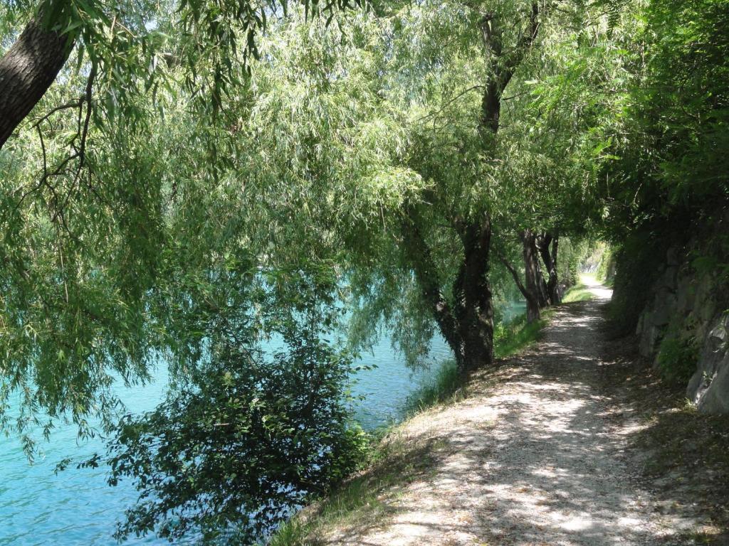 Apartma Jezero photo 2