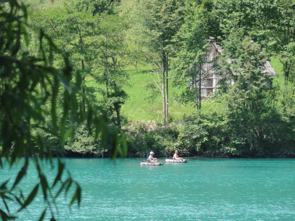 Apartma Jezero photo 4