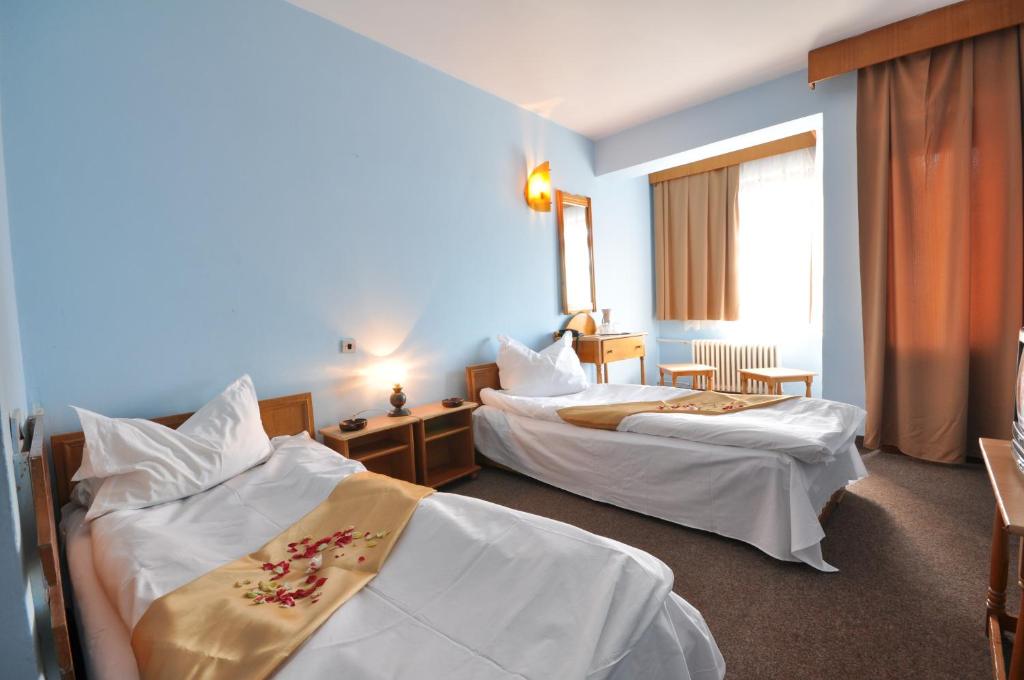 Двухместный (Двухместный номер с 2 отдельными кроватями), Hotel Dobrogea