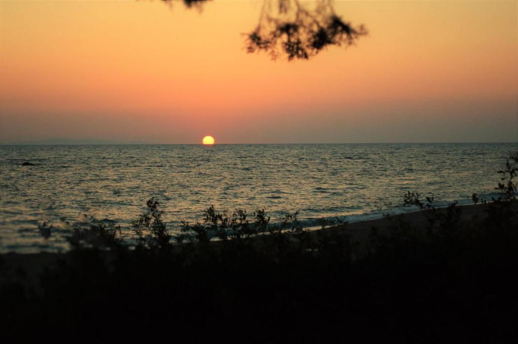 Ionion Beach House photo 2