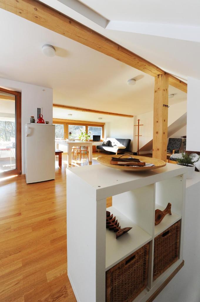 Apartment Riba photo 3