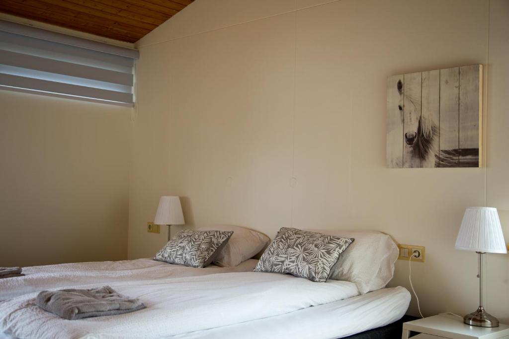 South Central Guesthouse photo 2