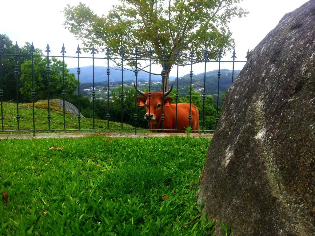 Quinta da Toural photo 4