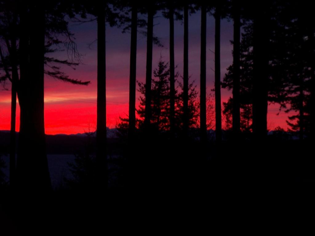 Malaspina Strait Cottage photo 1