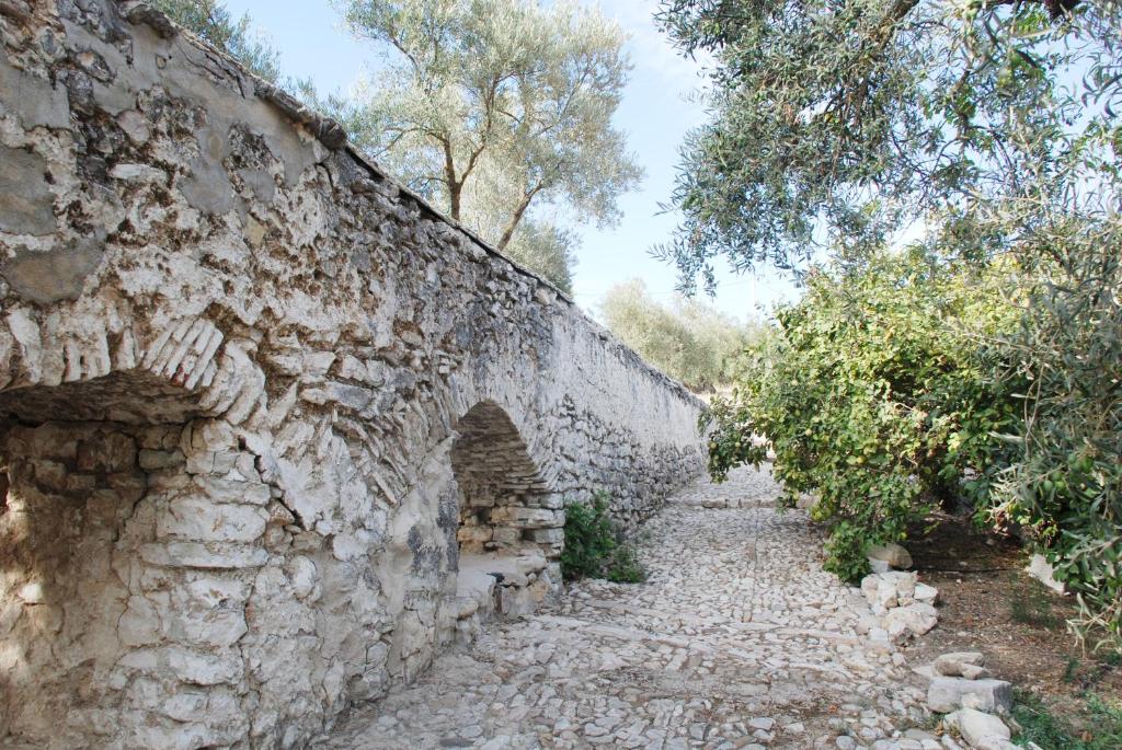 Molino Jabonero photo 3