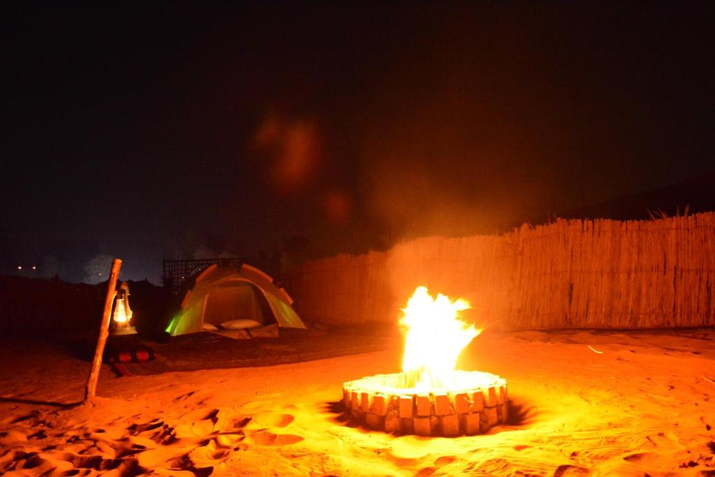 Номер (Шатер), Кемпинг Bedouin Oasis Camp