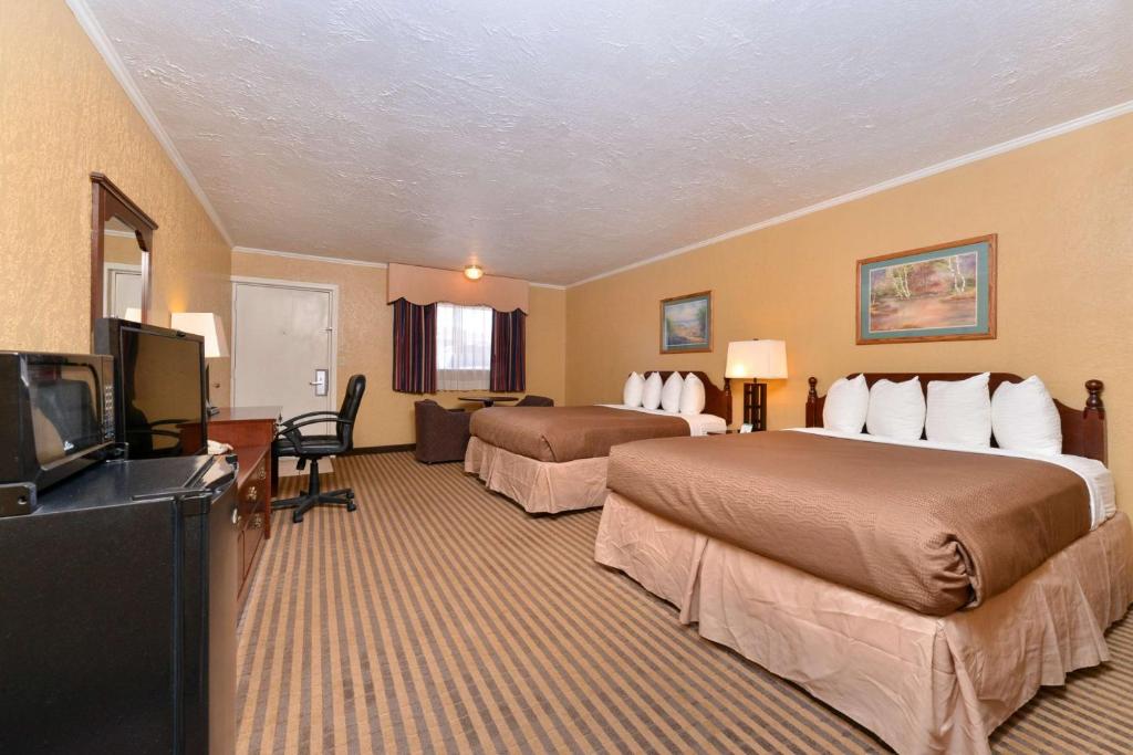 Executive Plus Inn and Suites photo 2