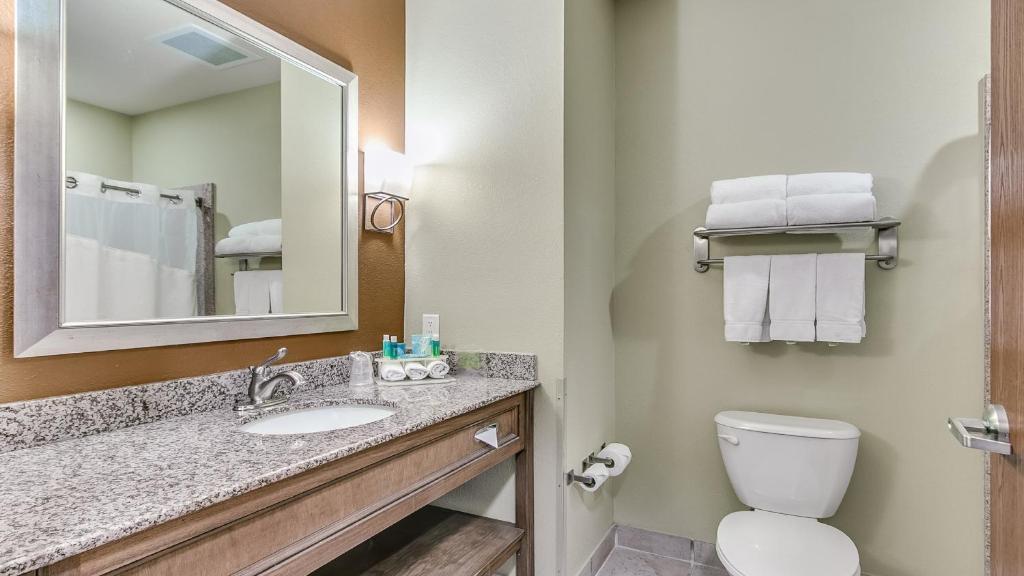 Holiday Inn Express & Suites Lubbock Southwest – Wolfforth, an IHG Hotel photo 4