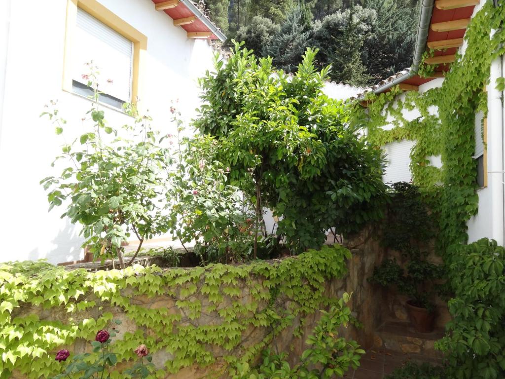 Apartamentos Arroyo Parrilla photo 4