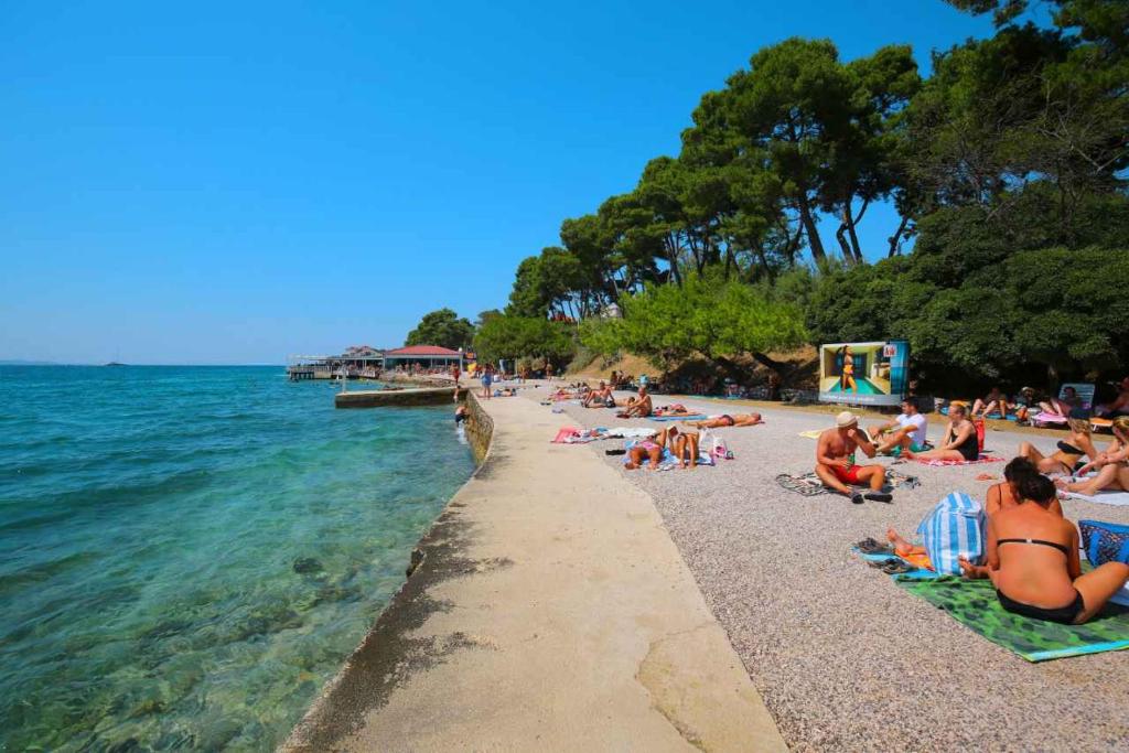 Lavender Suite Zadar photo 4