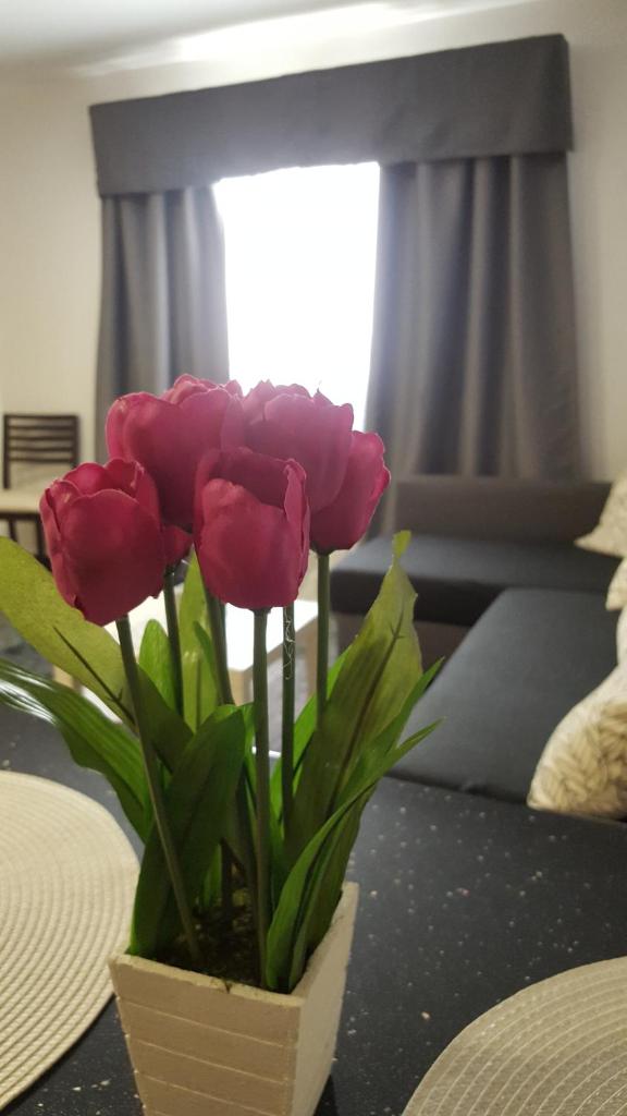 Apartamentos Dalia photo 4