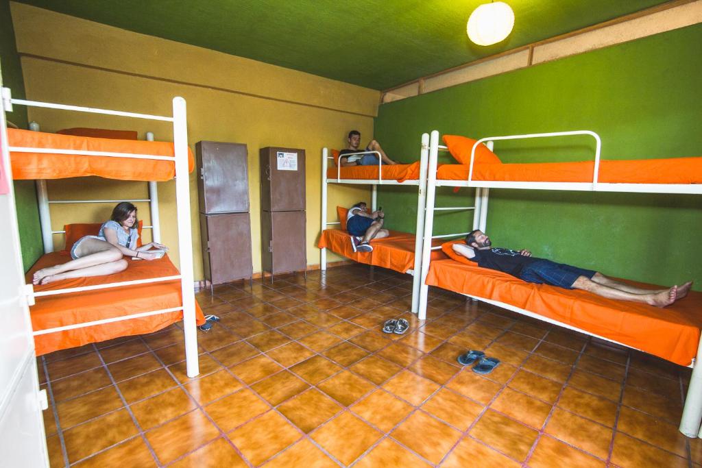 Номер (Односпальная кровать в общем номере для мужчин и женщин), Oasis Original Hostel