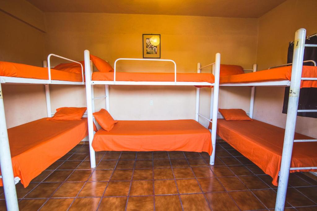 Номер (Односпальная кровать в общем номере для мужчин и женщин), Oasis Original Hostel