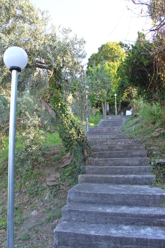 Villa Magnolia photo 3