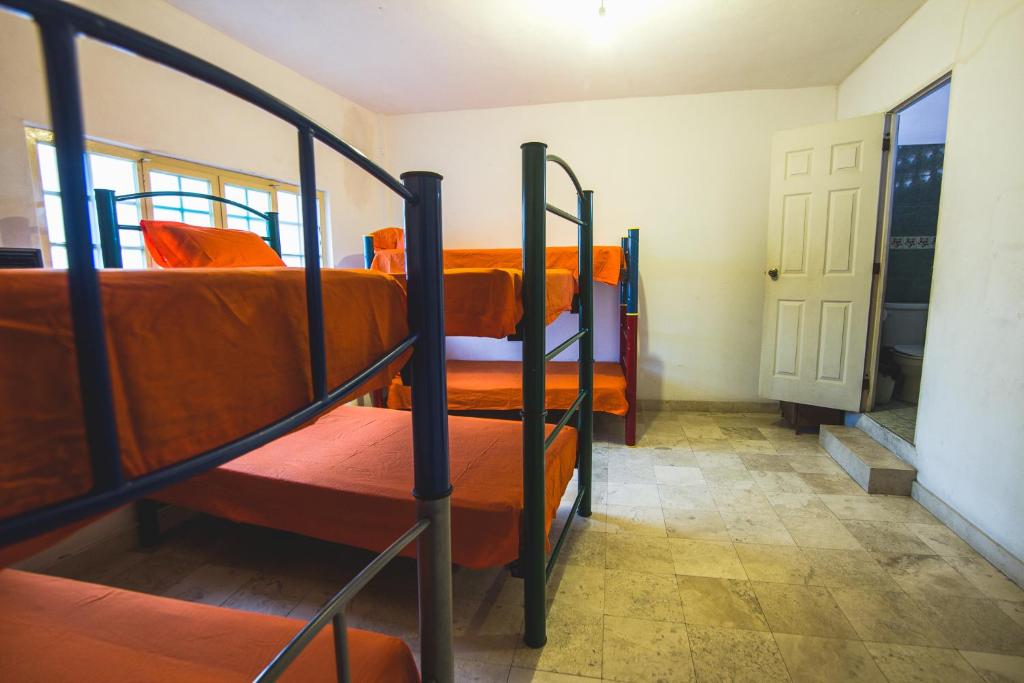 Номер (Односпальная кровать в общем номере для женщин), Oasis Original Hostel