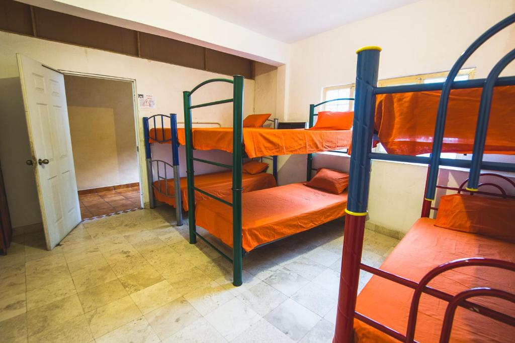 Номер (Односпальная кровать в общем номере для женщин), Oasis Original Hostel