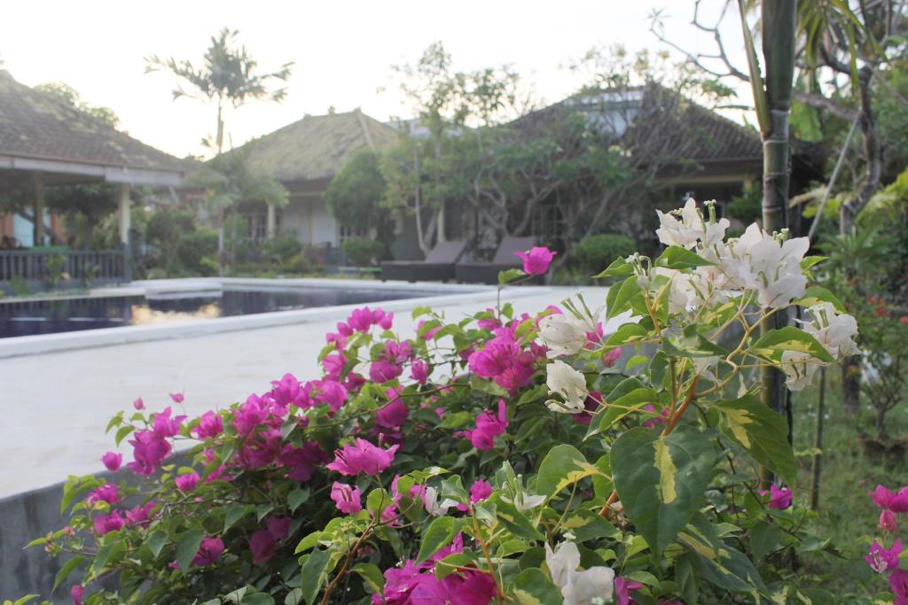 Taman Lily's Hotel photo 2