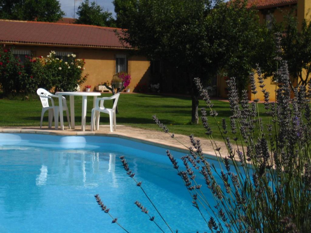 Casa Constanza photo 4
