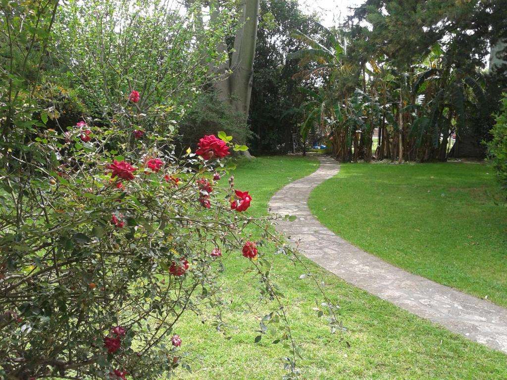 Casa Suiza photo 4