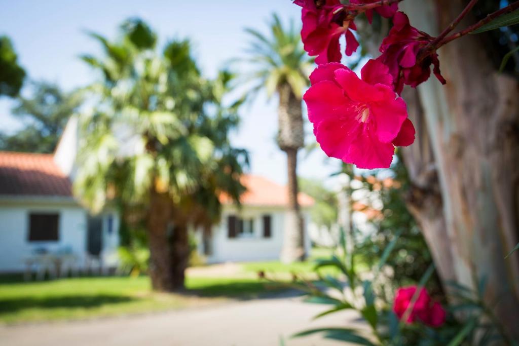 Hôtel Le Domaine du Mas Blanc by Popinns photo 3