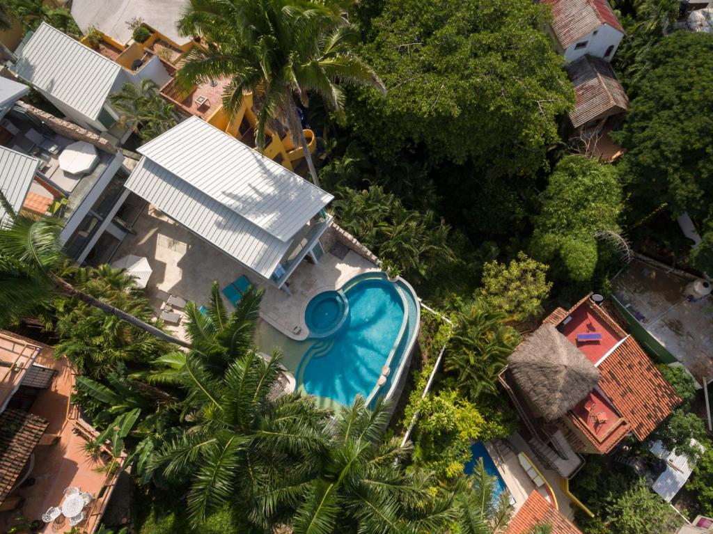 Anjali Casa Divina photo 3
