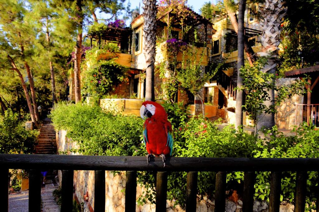 Symbola Oludeniz Beach Hotel photo 1