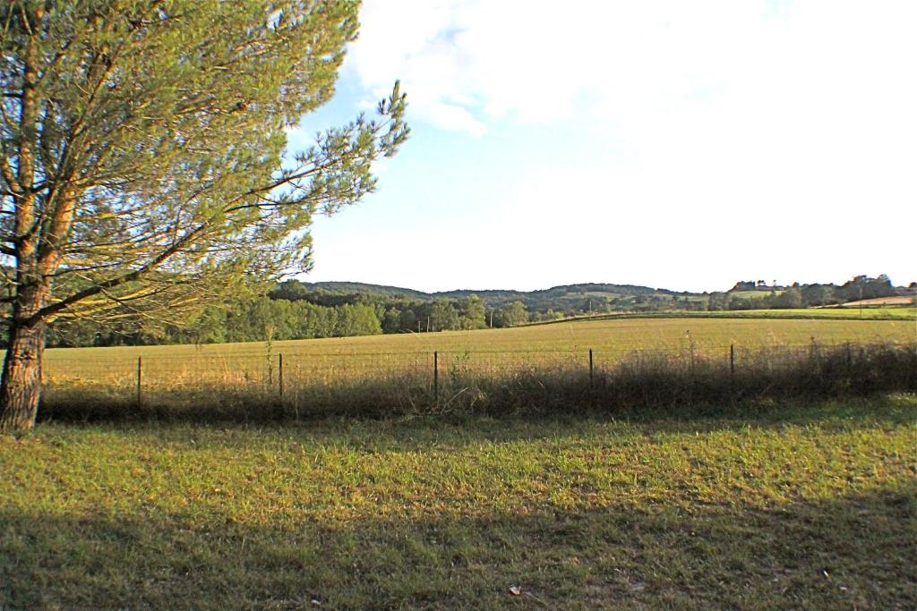 Gite La Luciole photo 3