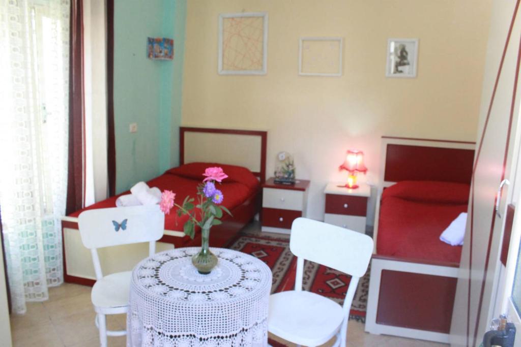 Private room historic center Elbasan photo 3
