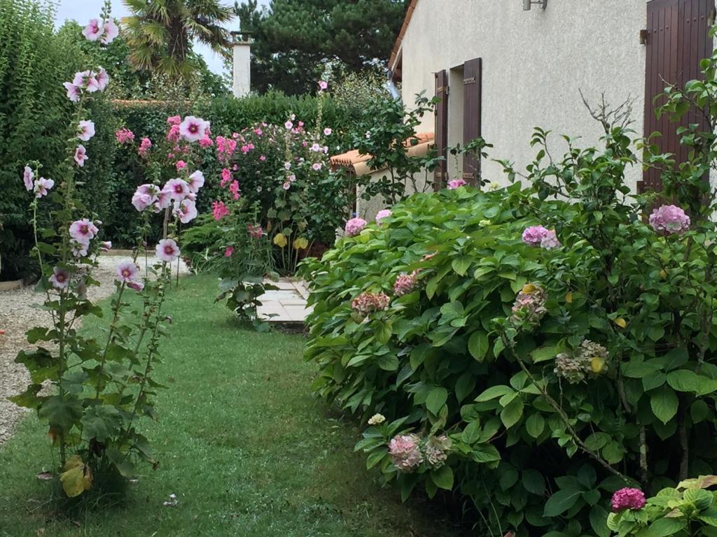 Chez Pierrot et Gisele photo 2