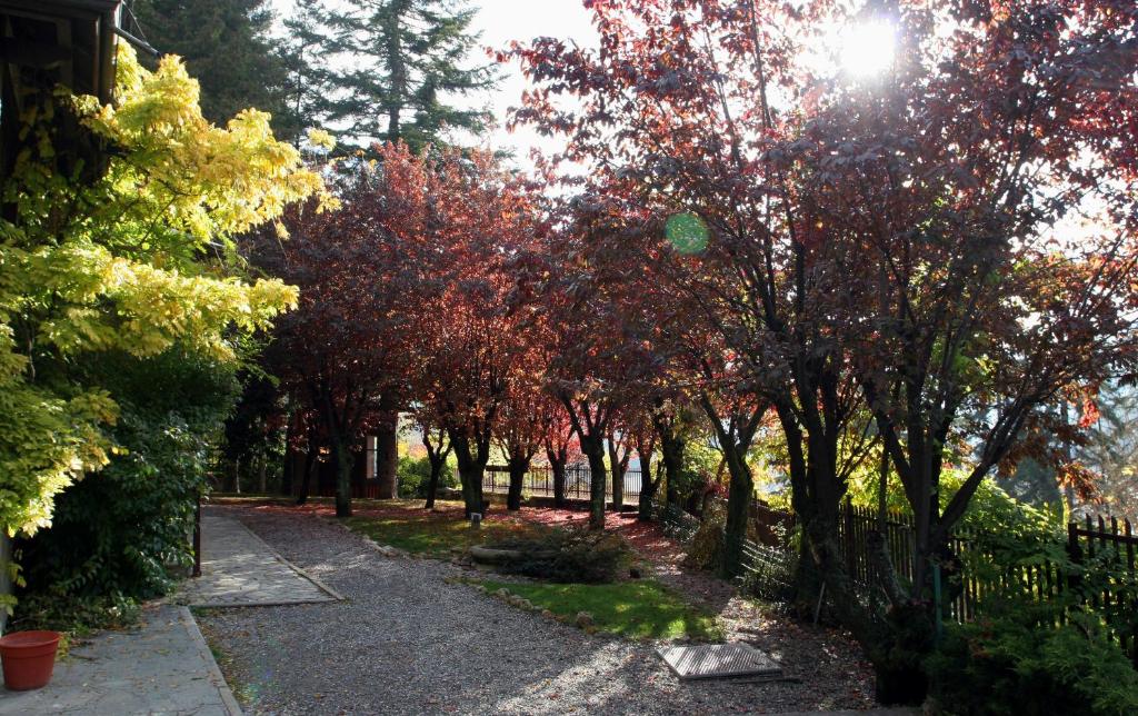 Residence Villa Linda photo 4