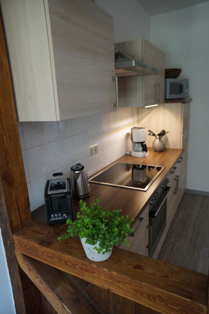 bluming inn - Ferienwohnung im Spreewald photo 4