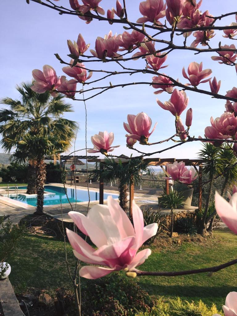 Iakovakis Suites & Spa photo 1