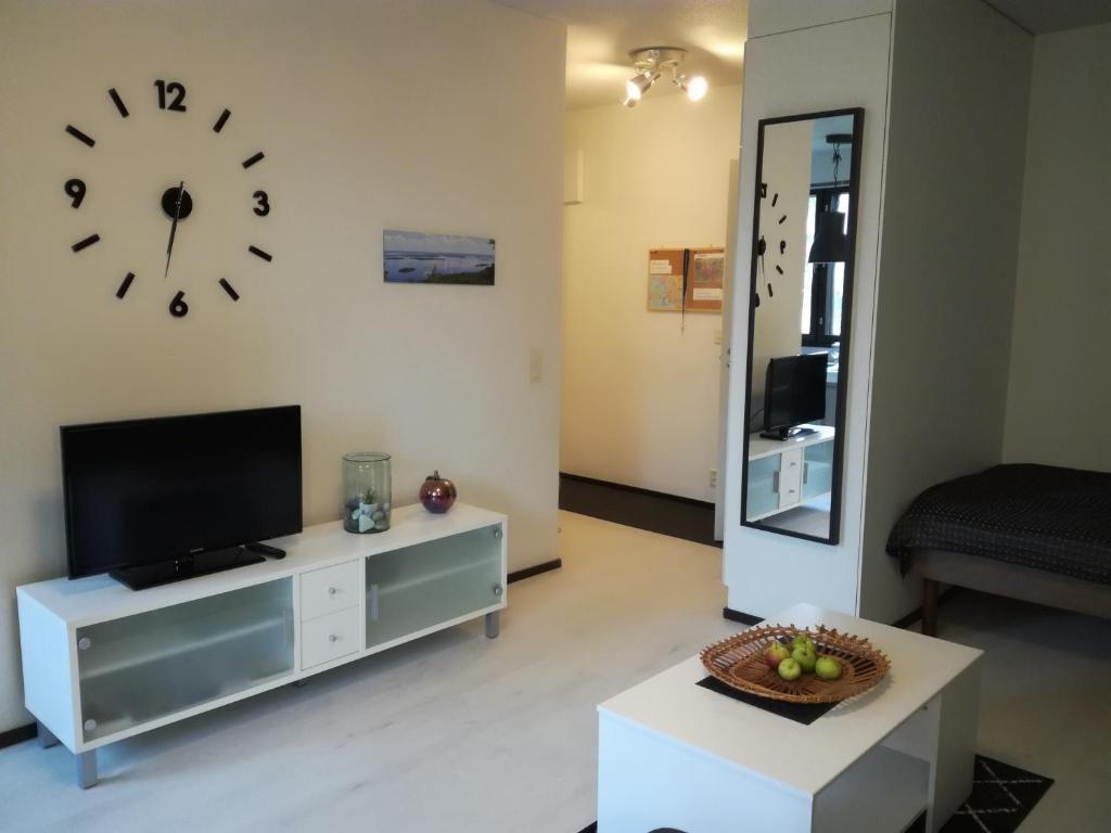 A lovely one-room apartment near the city centre. photo 4