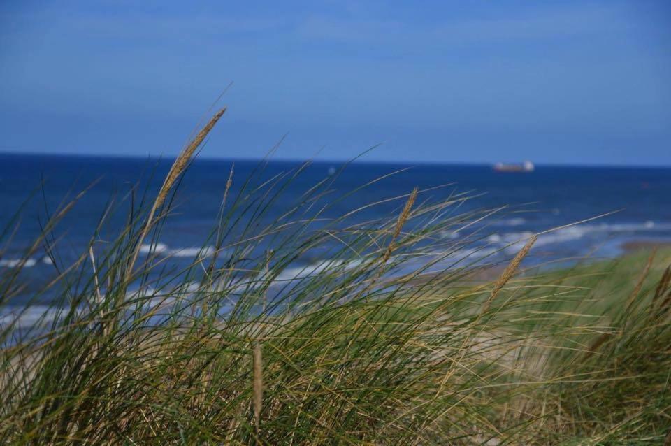 DE BLAAUBOER, vakantiehuisje