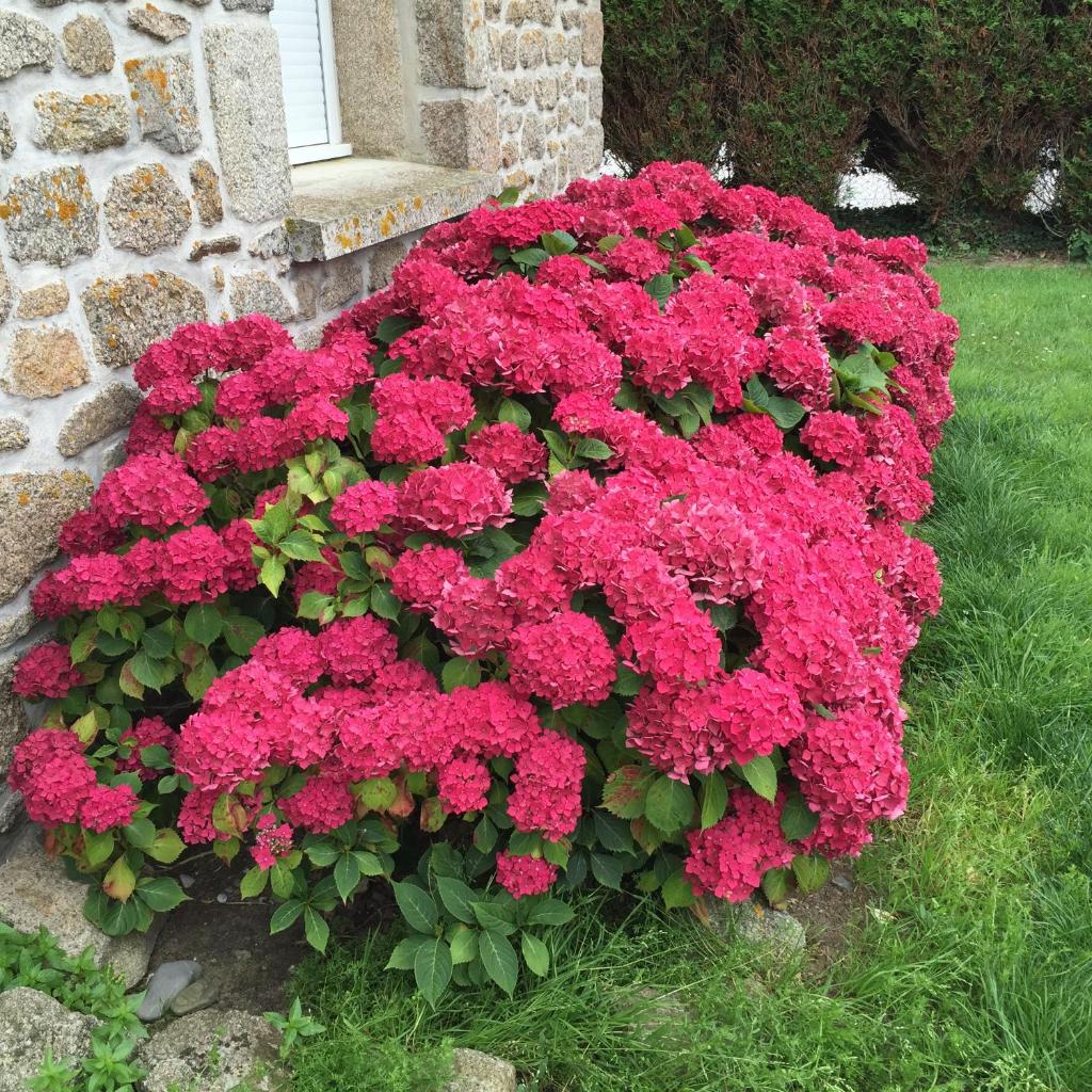 Villa Cotentin photo 3