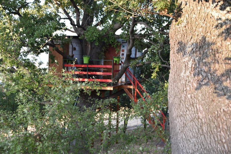 Casa sull'Albero photo 1