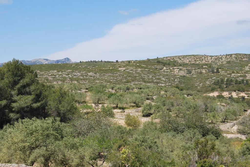 Apartamento Tramuntana photo 4