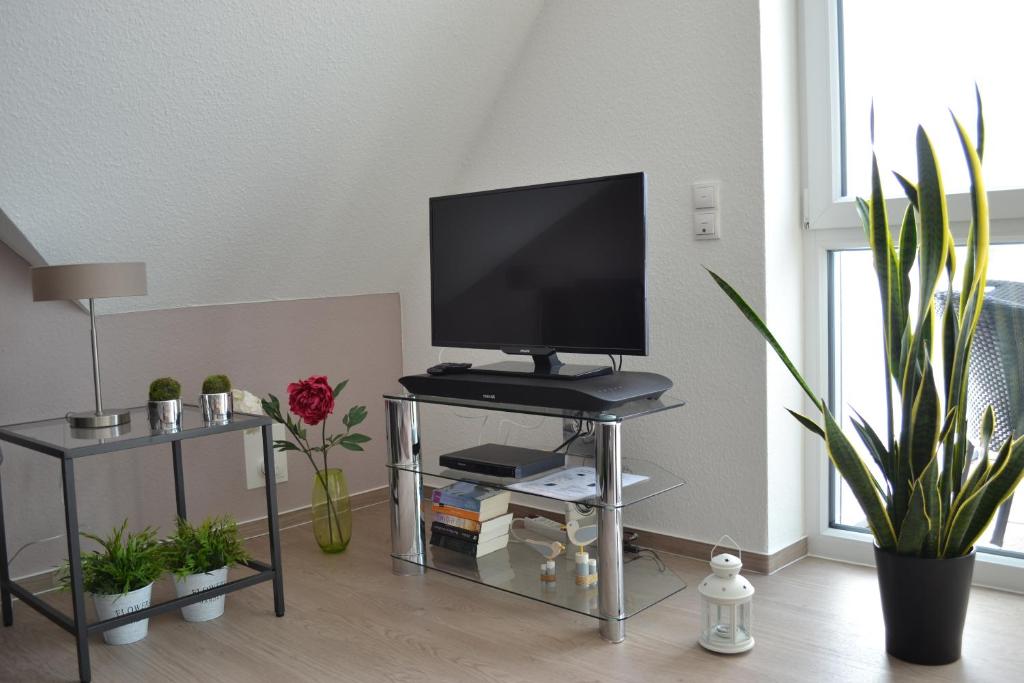 Steuerbord photo 3