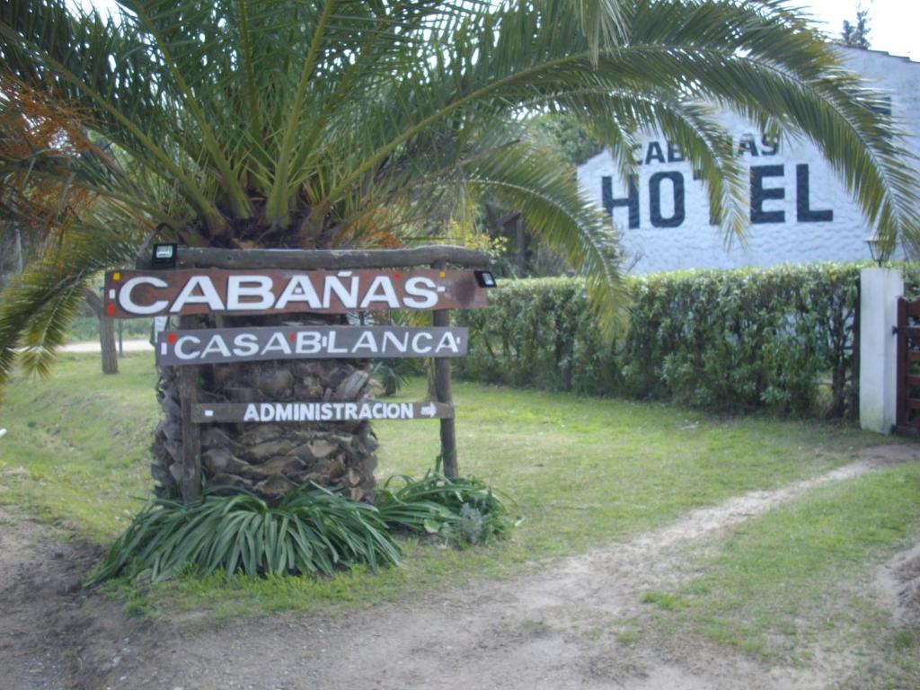 Casablanca photo 1