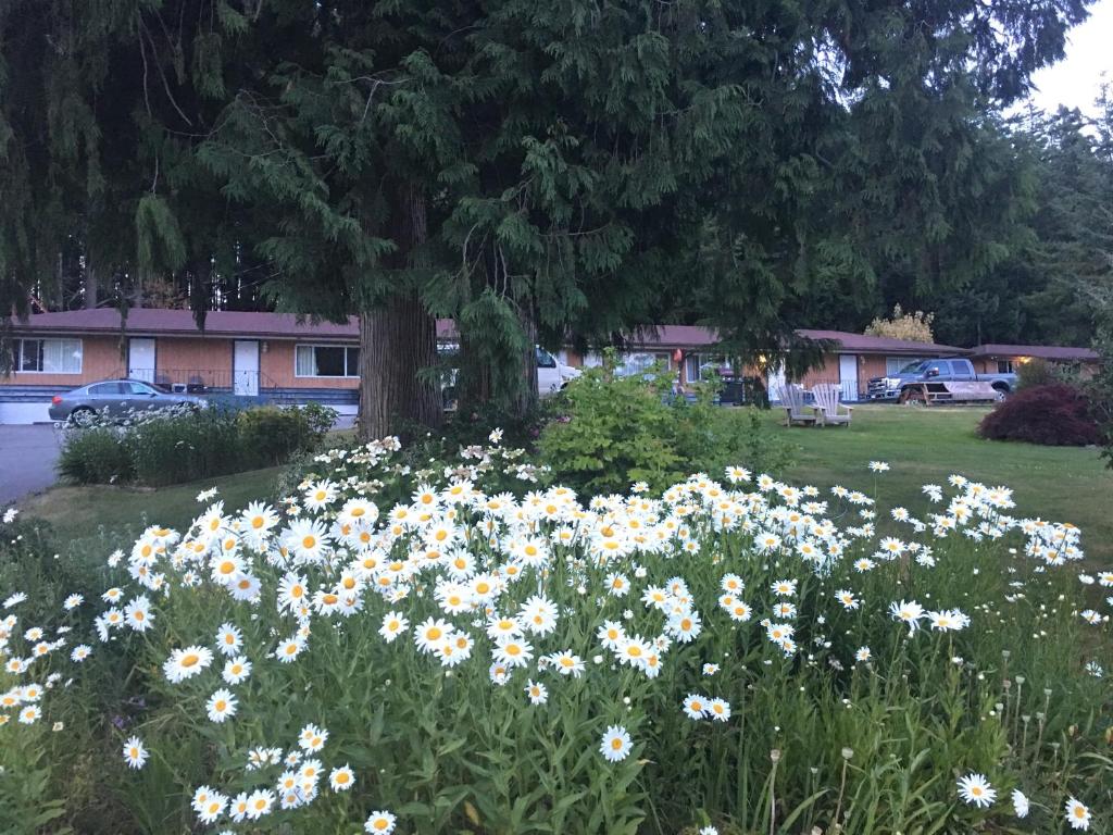 Seaside Villa Motel & RV Park photo 1