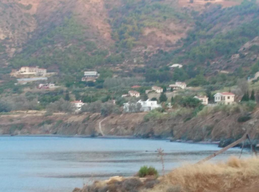 Pomos Harbourbiew Villa photo 1