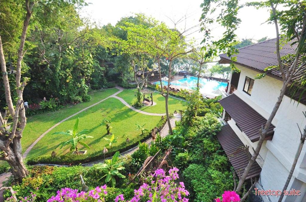 Сьюит (Люкс tree Top с видом на море - Люкс с 1 спальней), Курортный отель Birds and Bees Resort