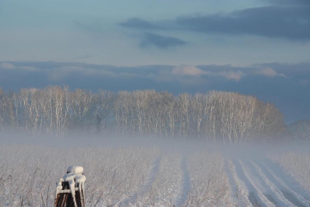 Weitblick photo 3