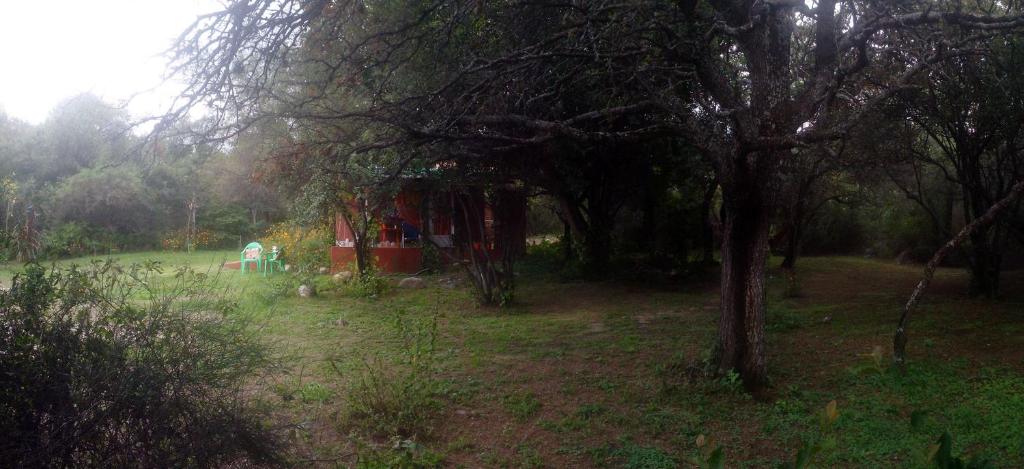 Amaltea photo 3