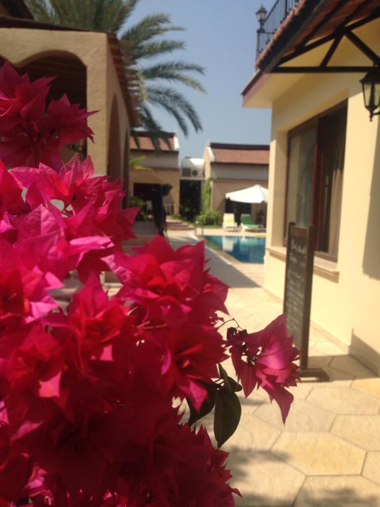 Five Fingers Holiday Bungalows photo 3